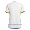 Camiseta de fútbol Suecia Segunda Equipación 2022 - Hombre